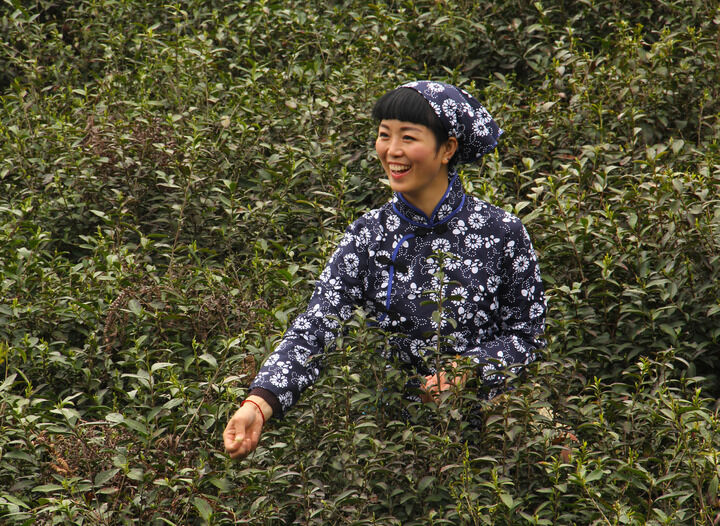 香烟烟雾